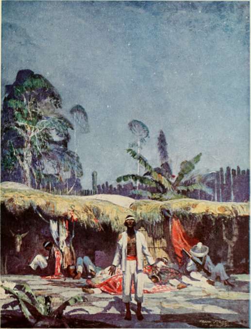 picture7