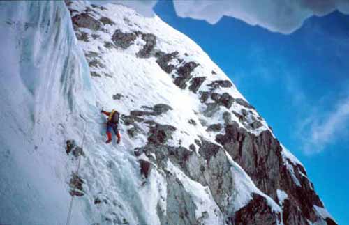 image_29.jpg