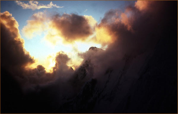 image_31.jpg