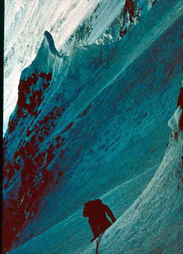 void6
