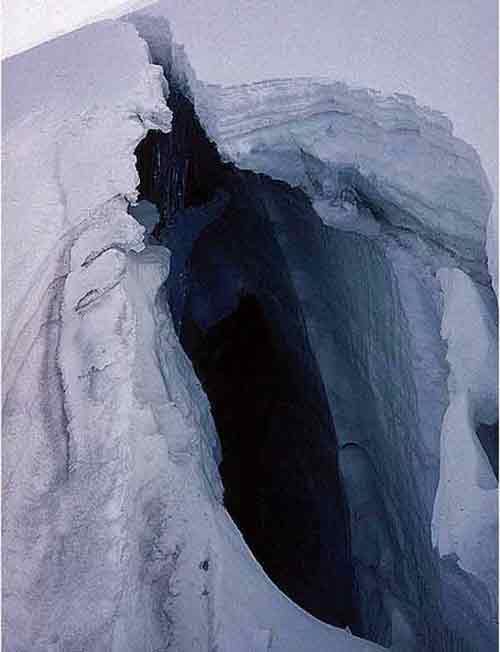 image_43.jpg