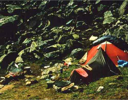 image_45.jpg image_45.jpg