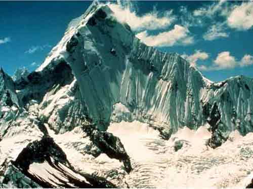 image_50.jpg