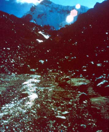 image_56.jpg