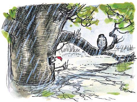 image 111